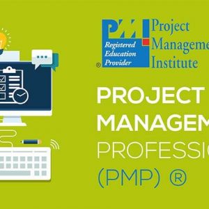 Project Management Professional (PMP®)