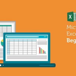 Microsoft Excel 2013 – Basic Level-
