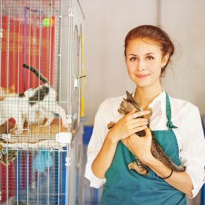 Advanced Diploma in Animal Care at QLS Level 3