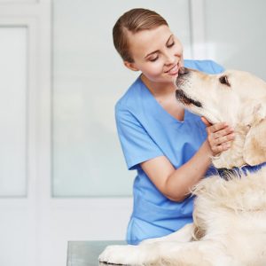 Advanced Diploma in Animal Psychology at QLS Level 3