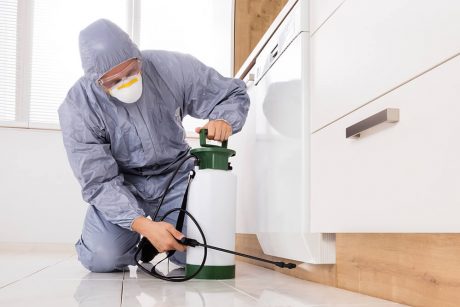 Diploma in Pesticide Safety at QLS Level 3