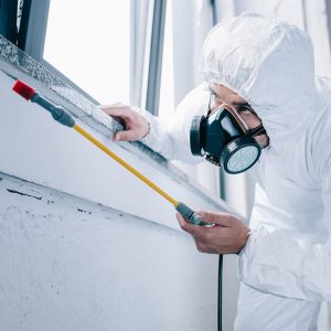 Diploma in Advanced Pest Control at QLS Level 3