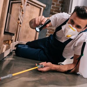 Diploma in General Pest Control at QLS Level 4