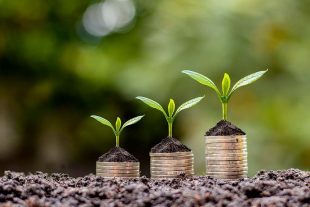 Principles of Agricultural Economics - Level 4